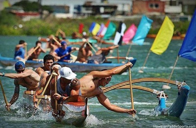 Deas Island Regional Park Turns